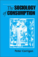The Sociology of Consumption (PDF eBook)