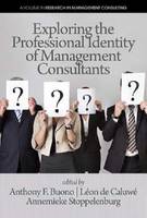 Exploring the Professional Identity of Management Consultants