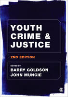 Youth Crime and Justice