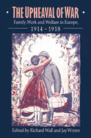 Upheaval of War, The: Family, Work and Welfare in Europe, 1914-1918