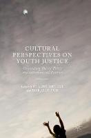 Cultural Perspectives on Youth Justice: Connecting Theory, Policy and International Practice (ePub eBook)