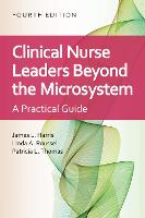 Clinical Nurse Leaders Beyond the Microsystem: A Practical Guide