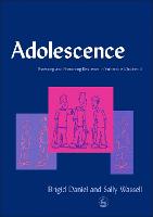 Adolescence: Assessing and Promoting Resilience in Vulnerable Children 3