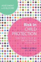 Risk in Child Protection (ePub eBook)
